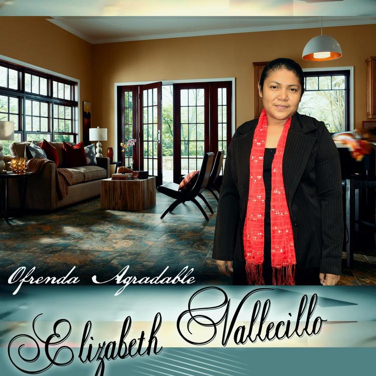 Elizabeth Vallecillo's avatar image