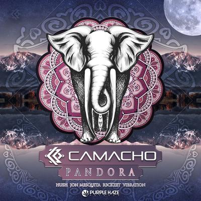 Ganapataye (Original Mix) By Henrique Camacho's cover