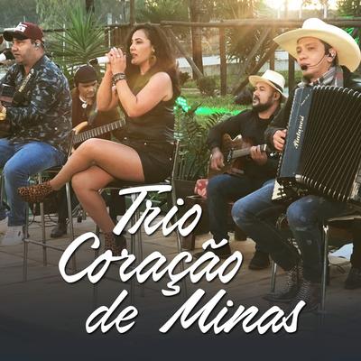 É Minha Vida By Trio Coração De Minas's cover