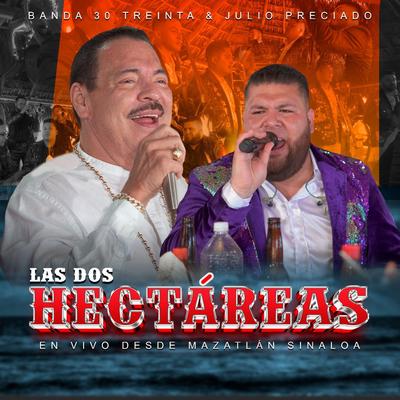 Las Dos Hectáreas (En Vivo Desde Mazatlán Sinaloa)'s cover