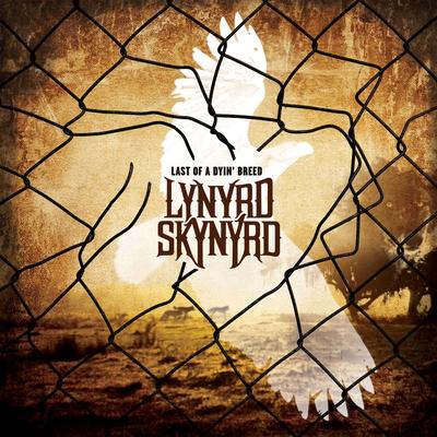 Low Down Dirty By Lynyrd Skynyrd's cover