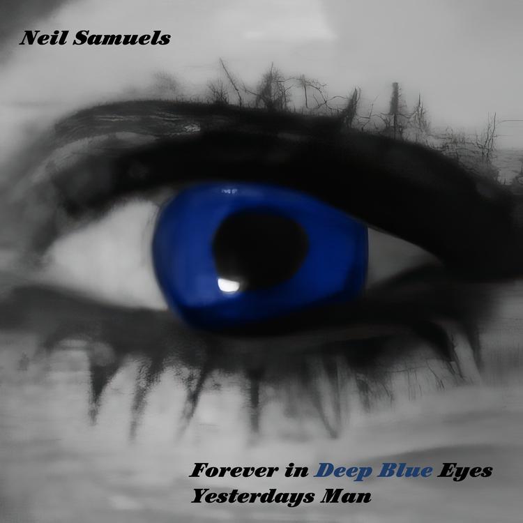 Neil Samuels's avatar image