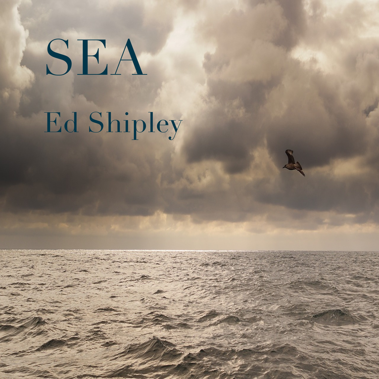 Ed Shipley's avatar image