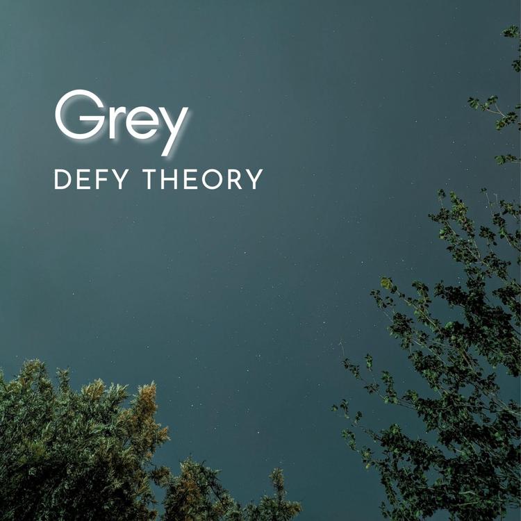 Defy Theory's avatar image