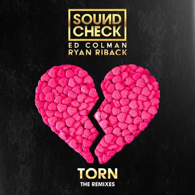 Torn (feat. Ryan Riback & Ed Colman) (James Alexandr Radio Edit)'s cover