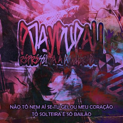 Não Tô Nem Aí Se Tu Gelou Meu Coração - Tô Solteira É Só Bailão By DJ DUDAH, Mc Dricka, MC Hyatta's cover