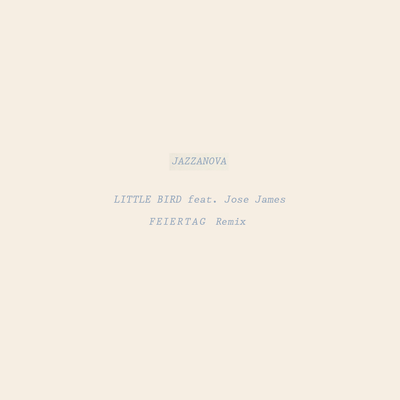 Little Bird (Feiertag Remix)'s cover