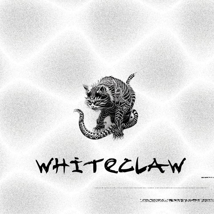 dj whiteclaw's avatar image