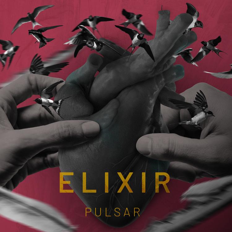 Elixir's avatar image