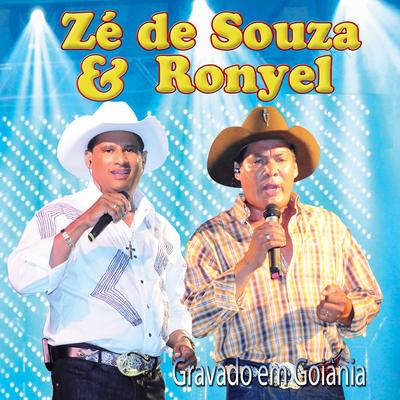 Quem Desdenha Quer Comprar (Ao Vivo) By Zé de Souza e Ronyel's cover