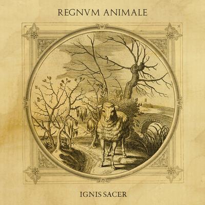 Missväxt By Regnvm Animale's cover