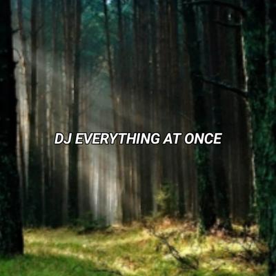 DJ EVERYTHING AT ONCE SLOWED's cover