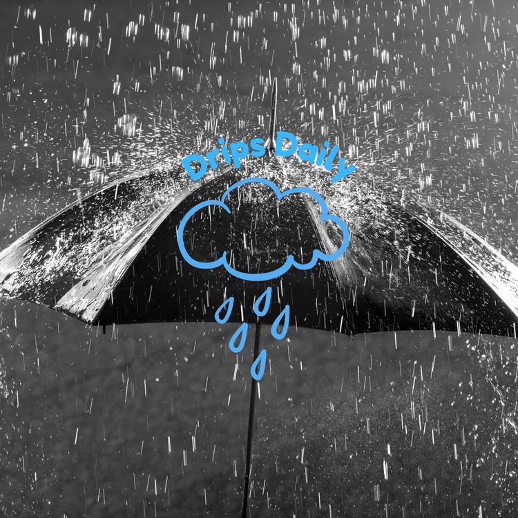 rain sounds playlist's avatar image