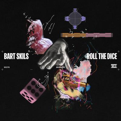 Roll the Dice By Bart Skils's cover