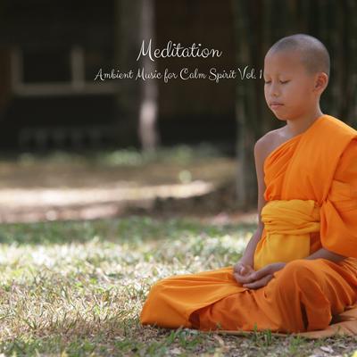 Zen Meditation's cover