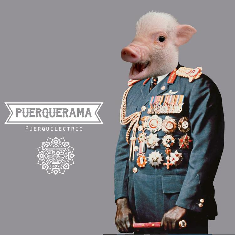 Puerquerama's avatar image