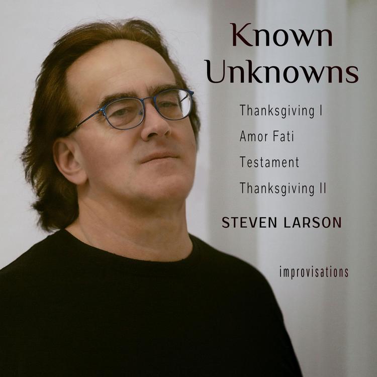 Steven Larson's avatar image