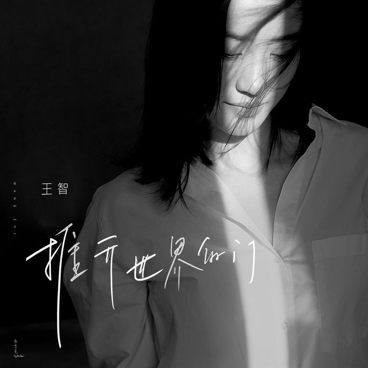 王智's avatar image