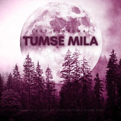 Tumse Mila's cover