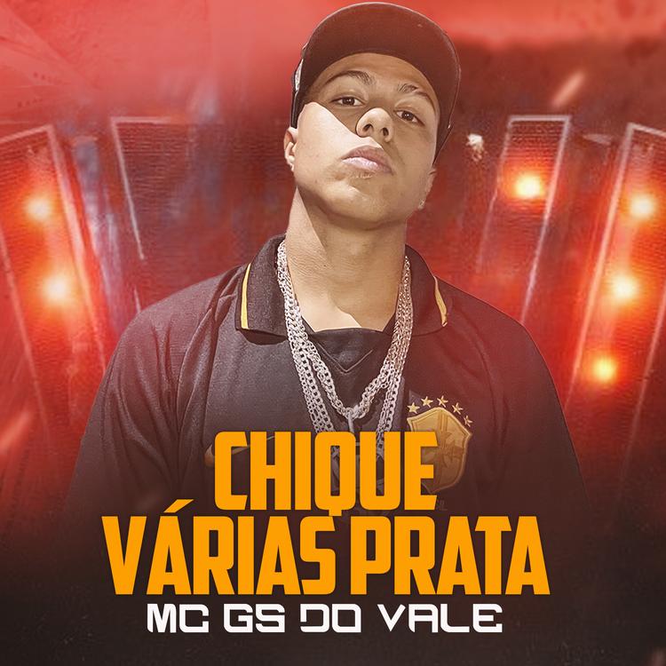 Mc Gs do Vale's avatar image