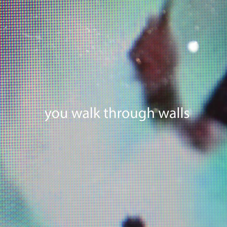 You Walk Through Walls's avatar image