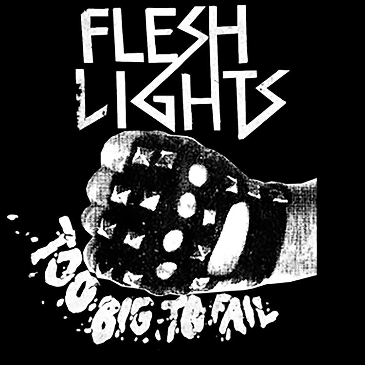 Flesh Lights's avatar image