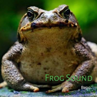 Frog Sound (Remastered 2022)'s cover