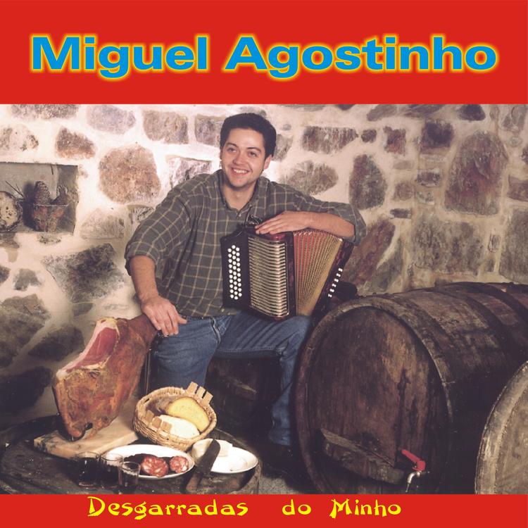 Miguel Agostinho's avatar image