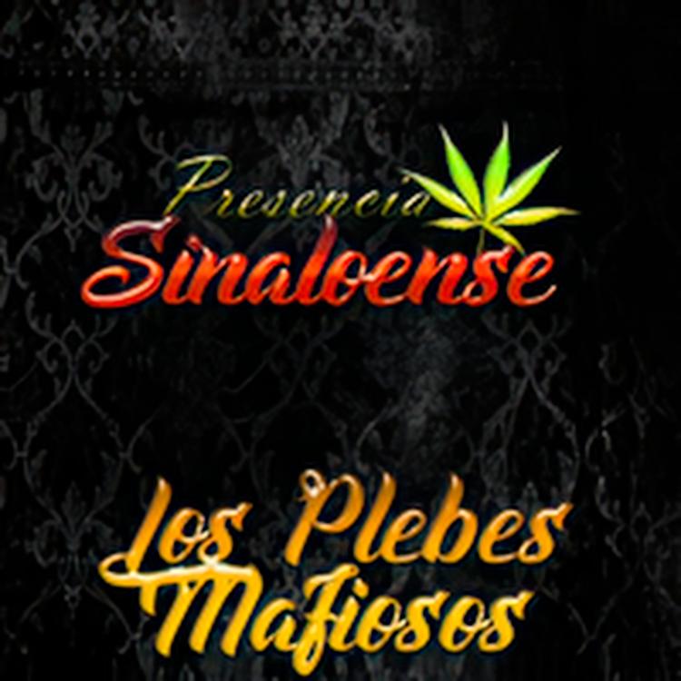 Grupo Presencia Sinaloense's avatar image