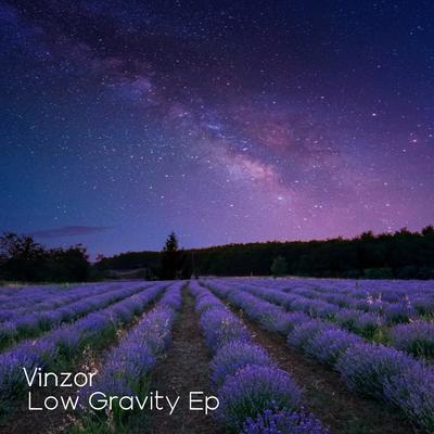 Low Gravity (feat. Melis)'s cover