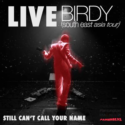 Still Can't Call Your Name (Live - Birdy South East Asia Tour)'s cover