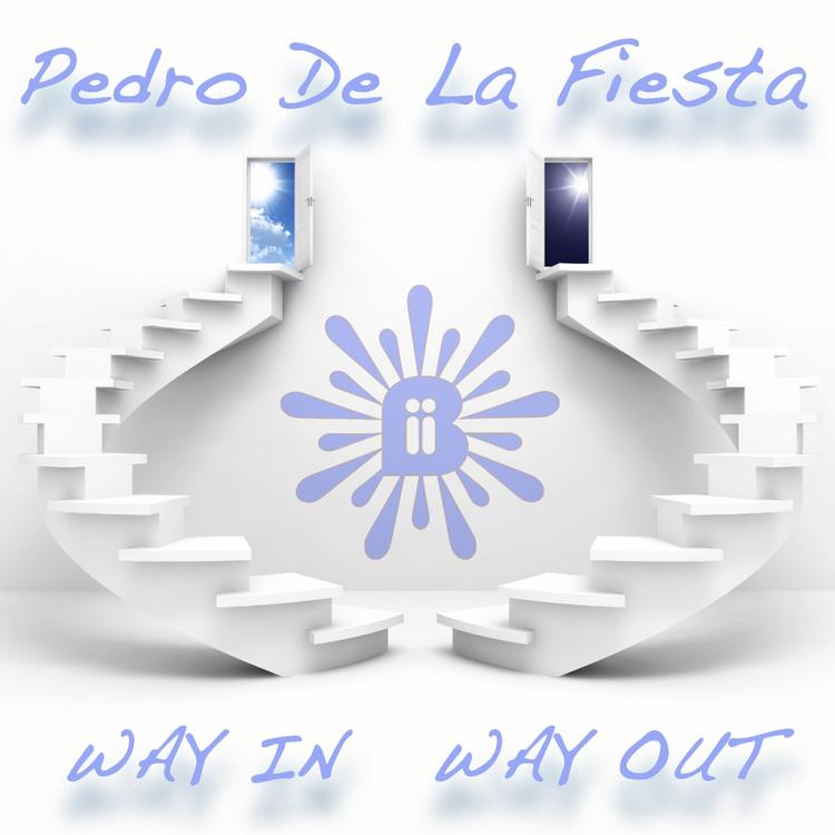 Pedro De La Fiesta's avatar image