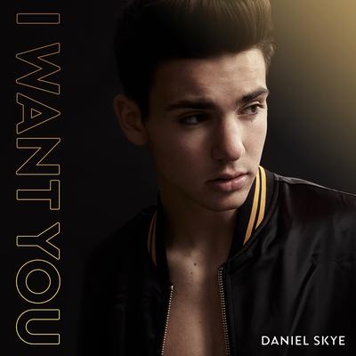 I Want You By Daniel Skye's cover