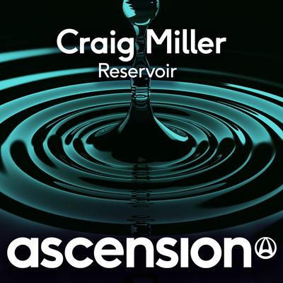 Reservoir (Original Mix)'s cover