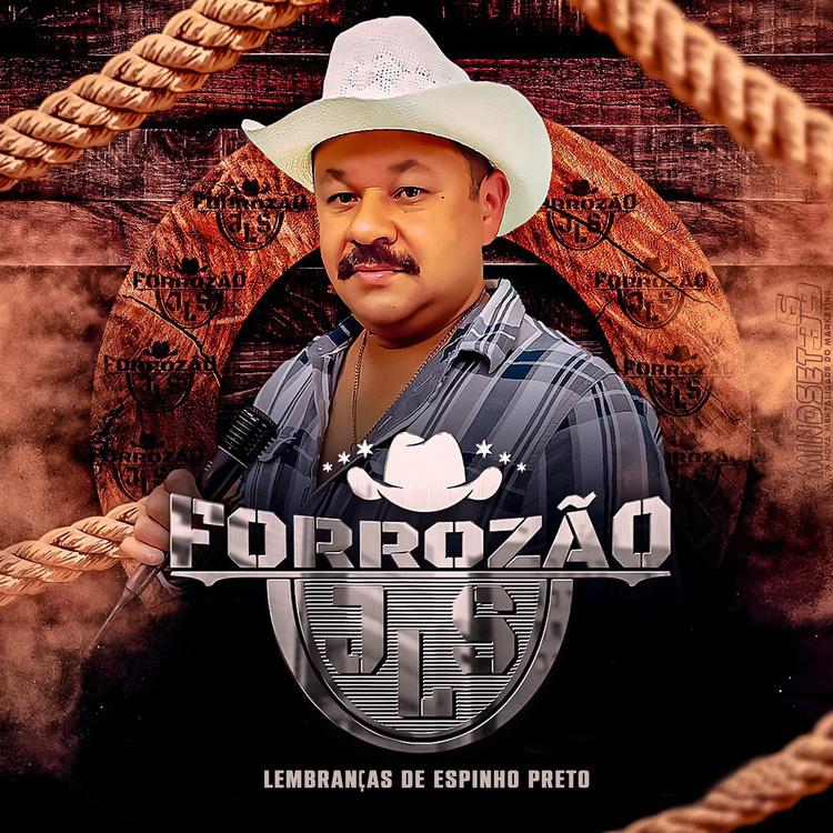 Forrozão JLS's avatar image