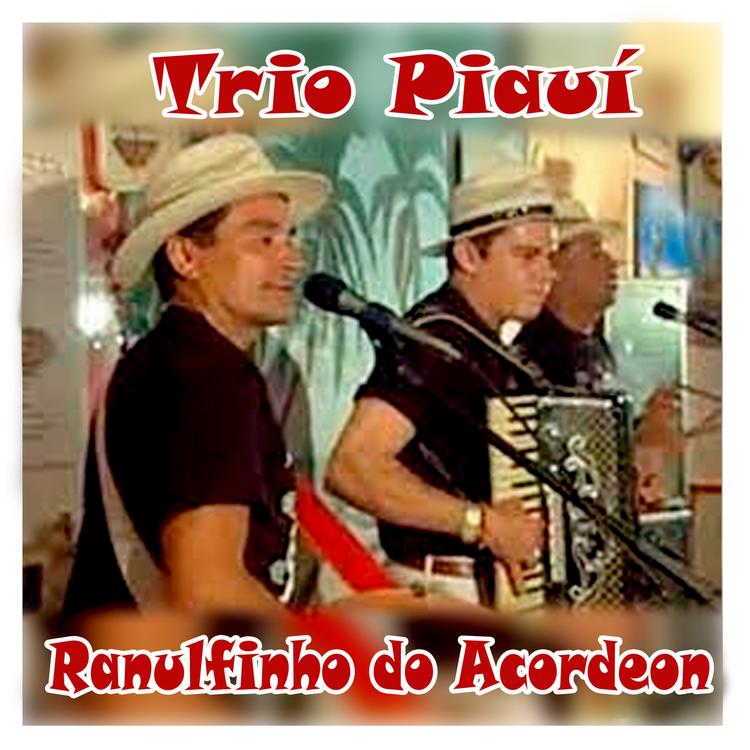 Ranulfinho do Acordeon's avatar image