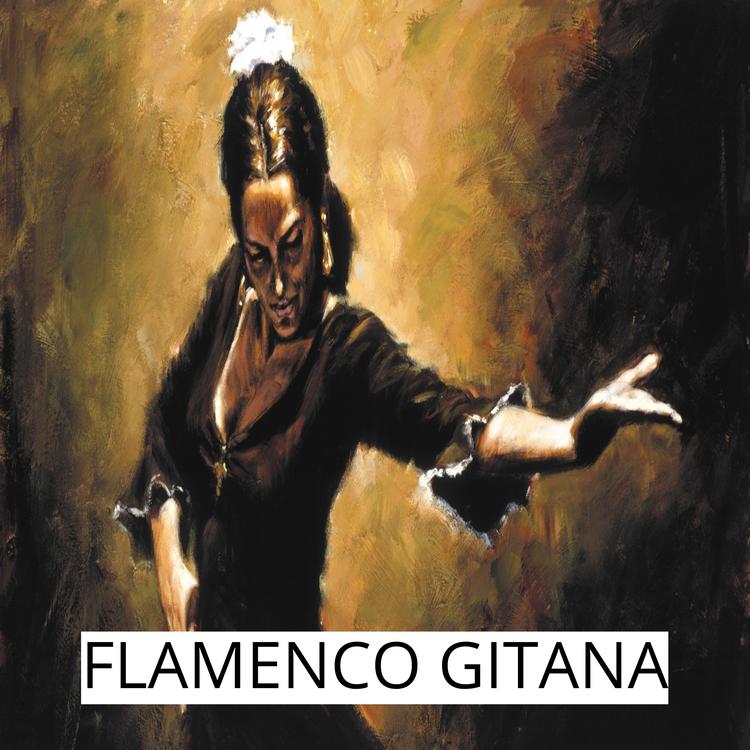 Musica gitana's avatar image