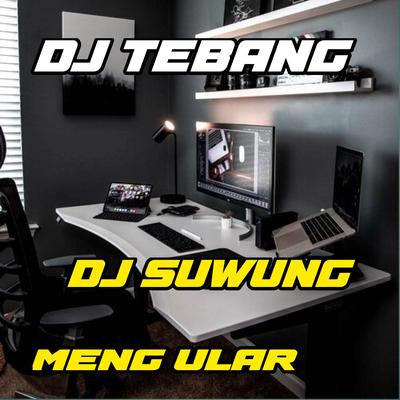 DJ SUWUNG X ULAR's cover