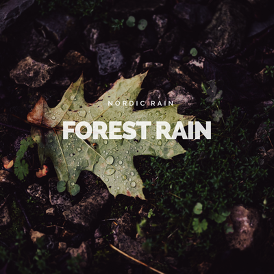Forest Rain By Nordic Rain's cover