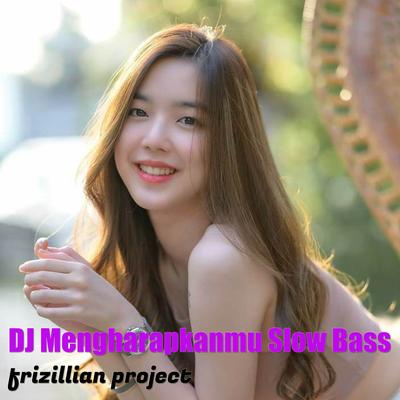 Frizillian Project's cover