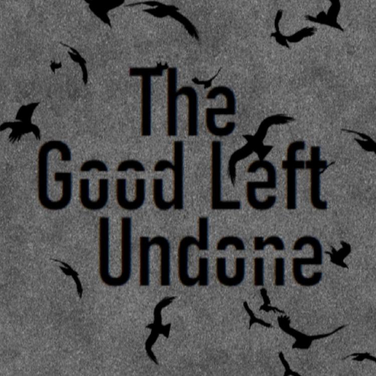 The Good Left Undone's avatar image