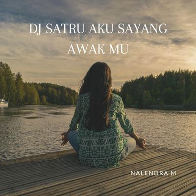 DJ Satru Aku Sayang Awak Mu's cover