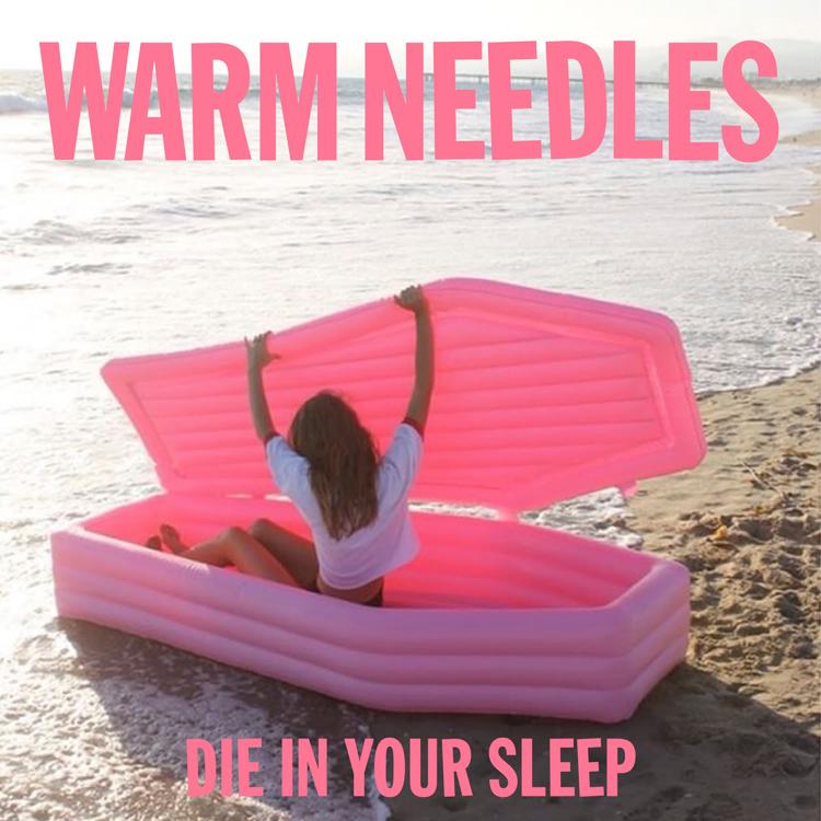 Warm Needles's avatar image