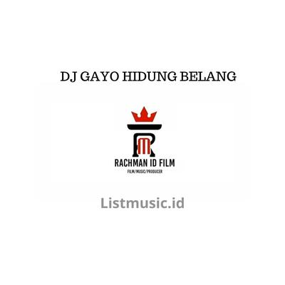 DJ GAYO HIDUNG BELANG's cover