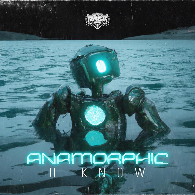 Anamorphic's avatar image