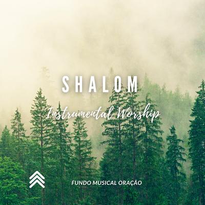 Shalom Instrumental Worship By Fundo Musical Oração's cover