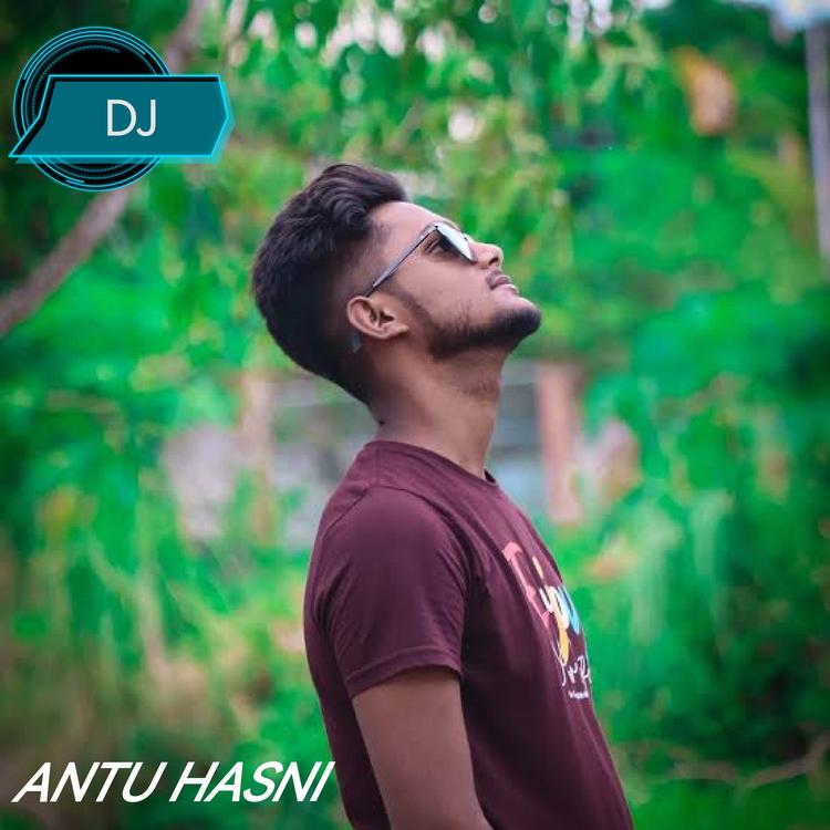 Antu Hasni's avatar image