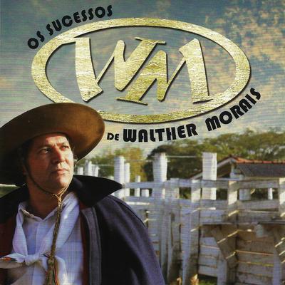 Um Bagual Corcoveador By Walther Morais's cover