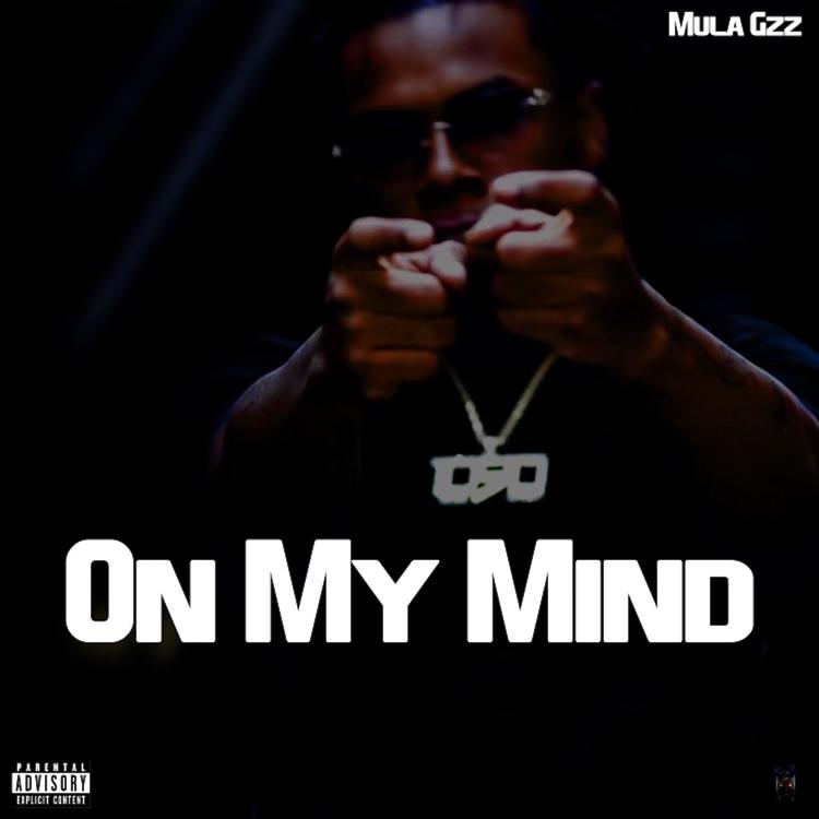 Mula Gzz's avatar image