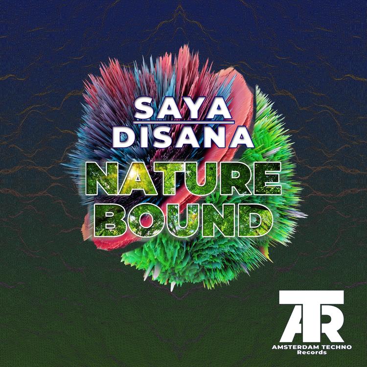 Saya Disana's avatar image